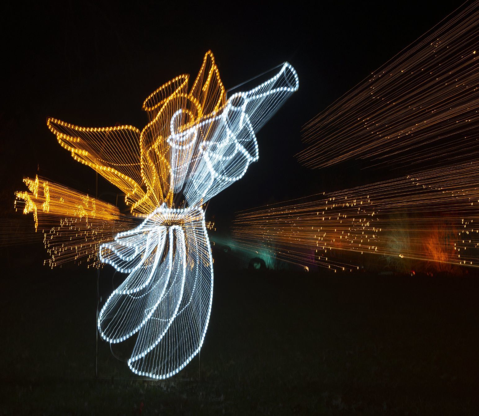 Way of Lights holiday light display at the National Shrine of Our Lady of the Snows